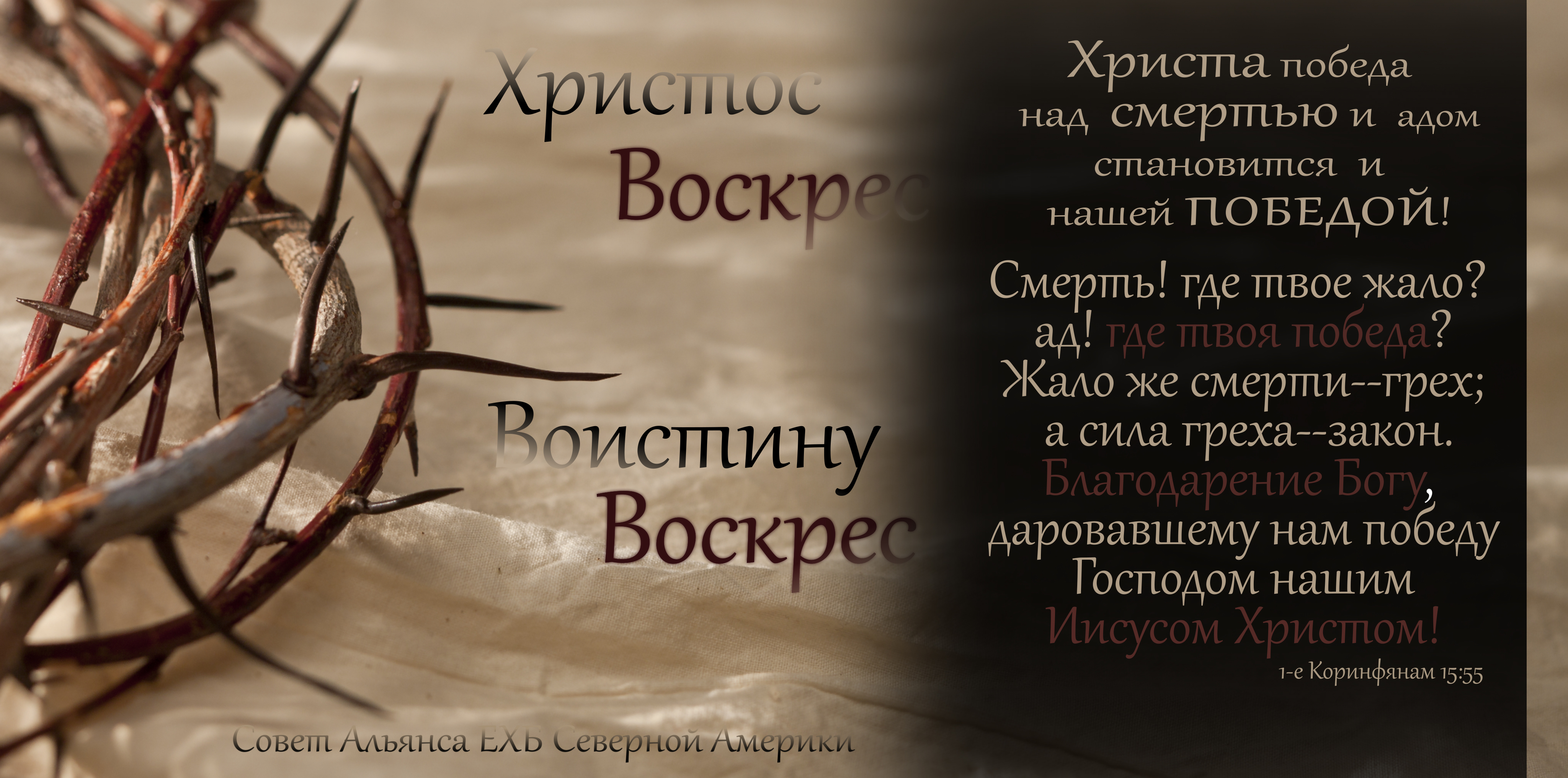alliance 2015 easter